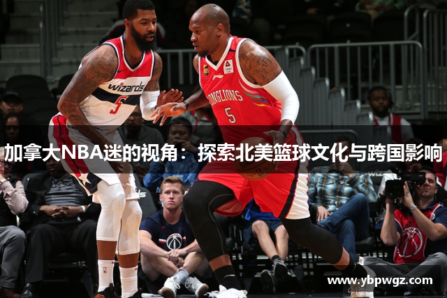 加拿大NBA迷的视角：探索北美篮球文化与跨国影响